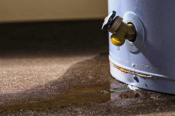 Best Sewage cleanup and water damage restoration  in New Hope, MS