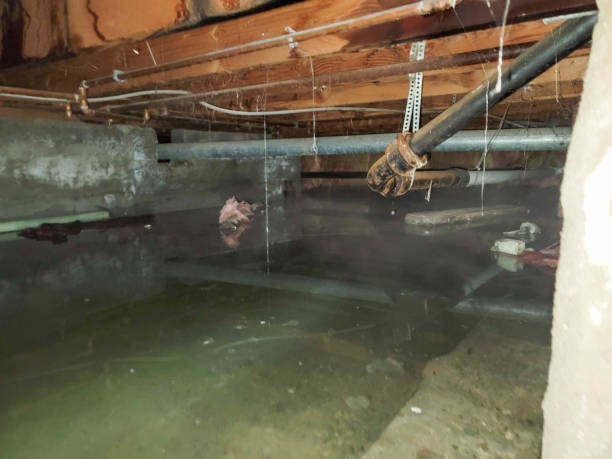 Best Residential water damage restoration  in New Hope, MS